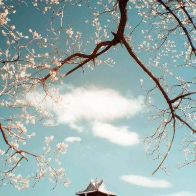 梦境彼岸全角色解锁版下载